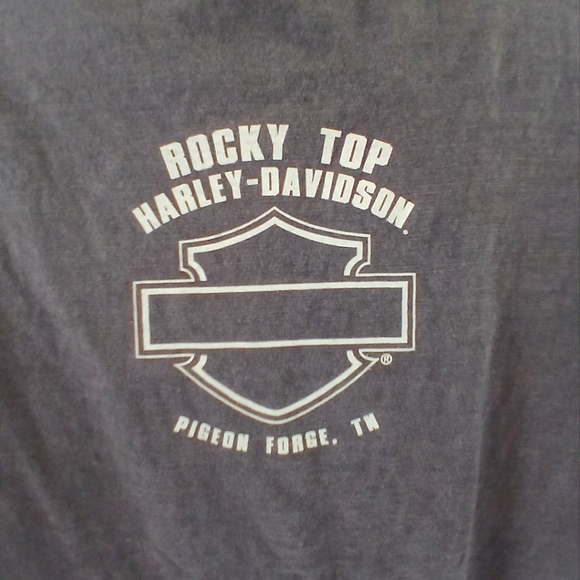 HARLEY DAVIDSON XL DARK GRAY - Picture 4 of 5